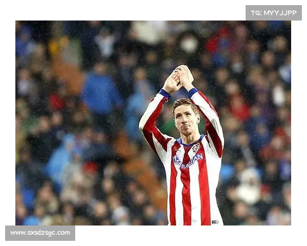 揭秘托雷斯的独特绰号与魅力背后隐藏的足球故事与传奇人生